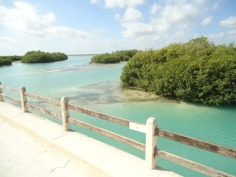 Agua cristalina junto al manglar en la región de Sian Ka'an
